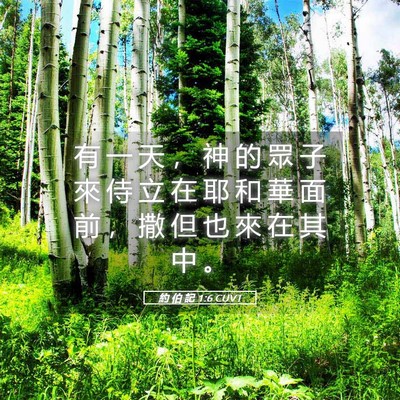 Picture 05 - 約 伯 記 1:6 CUVT - 有 一 天 ， 神 的 眾 子 來 侍 立 在 - Bible Verse Picture