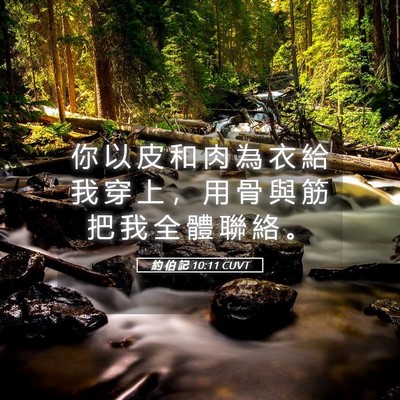 Picture 05 - 約 伯 記 10:11 CUVT - 你 以 皮 和 肉 為 衣 給 我 穿 上 ， - Bible Verse Picture