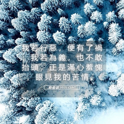Picture 05 - 約 伯 記 10:15 CUVT - 我 若 行 惡 ， 便 有 了 禍 ； 我 若 - Bible Verse Picture