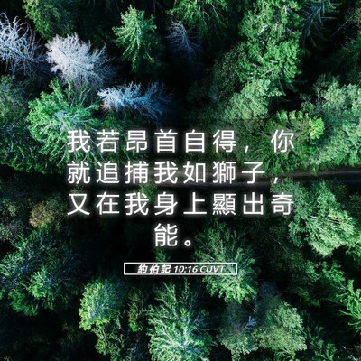 Picture 05 - 約 伯 記 10:16 CUVT - 我 若 昂 首 自 得 ， 你 就 追 捕 我 - Bible Verse Picture