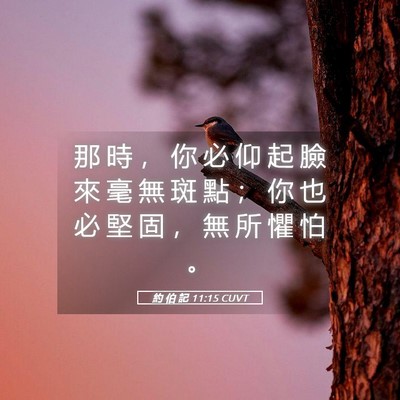 Picture 05 - 約 伯 記 11:15 CUVT - 那 時 ， 你 必 仰 起 臉 來 毫 無 斑 - Bible Verse Picture