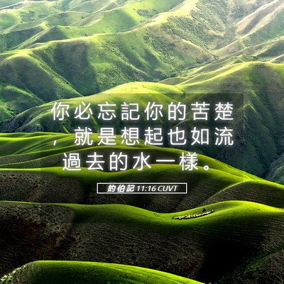 Picture 05 - 約 伯 記 11:16 CUVT - 你 必 忘 記 你 的 苦 楚 ， 就 是 想 - Bible Verse Picture