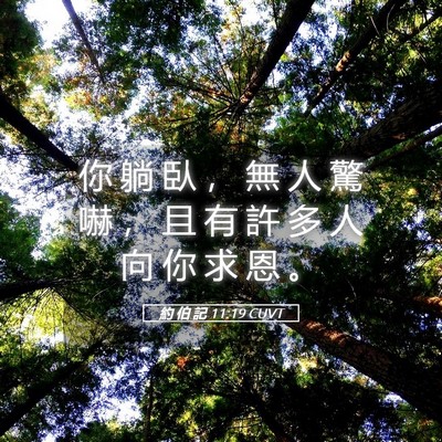 Picture 05 - 約 伯 記 11:19 CUVT - 你 躺 臥 ， 無 人 驚 嚇 ， 且 有 許 - Bible Verse Picture
