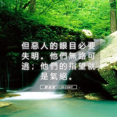 Picture 05 - 約 伯 記 11:20 CUVT - 但 惡 人 的 眼 目 必 要 失 明 。 他 - Bible Verse Picture