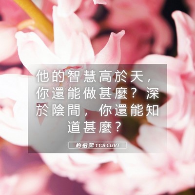 Picture 05 - 約 伯 記 11:8 CUVT - 他 的 智 慧 高 於 天 ， 你 還 能 做 - Bible Verse Picture