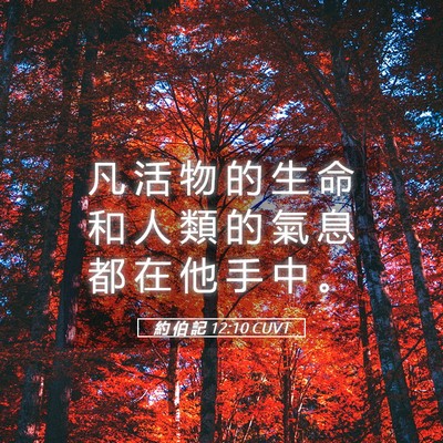 Picture 05 - 約 伯 記 12:10 CUVT - 凡 活 物 的 生 命 和 人 類 的 氣 息 - Bible Verse Picture