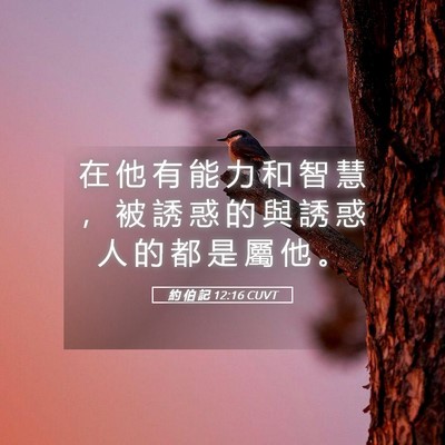 Picture 05 - 約 伯 記 12:16 CUVT - 在 他 有 能 力 和 智 慧 ， 被 誘 惑 - Bible Verse Picture