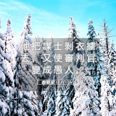 Picture 05 - 約 伯 記 12:17 CUVT - 他 把 謀 士 剝 衣 擄 去 ， 又 使 審 - Bible Verse Picture