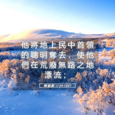 Picture 05 - 約 伯 記 12:24 CUVT - 他 將 地 上 民 中 首 領 的 聰 明 奪 - Bible Verse Picture