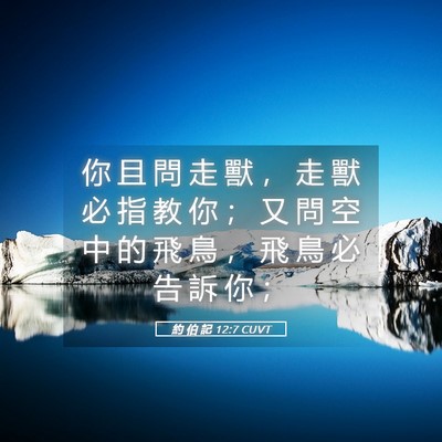 Picture 05 - 約 伯 記 12:7 CUVT - 你 且 問 走 獸 ， 走 獸 必 指 教 你 - Bible Verse Picture
