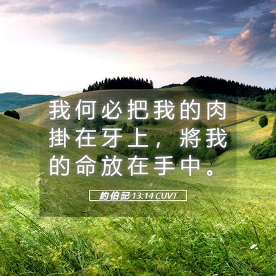 Picture 05 - 約 伯 記 13:14 CUVT - 我 何 必 把 我 的 肉 掛 在 牙 上 ， - Bible Verse Picture