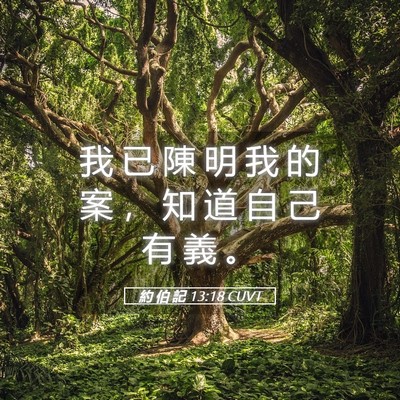 Picture 05 - 約 伯 記 13:18 CUVT - 我 已 陳 明 我 的 案 ， 知 道 自 己 - Bible Verse Picture