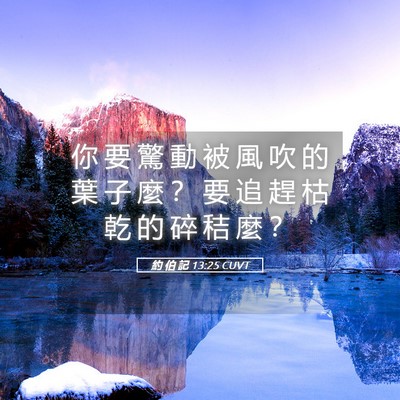 Picture 05 - 約 伯 記 13:25 CUVT - 你 要 驚 動 被 風 吹 的 葉 子 麼 ？ - Bible Verse Picture