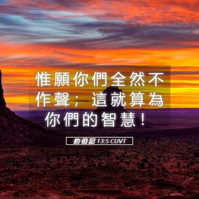 Picture 05 - 約 伯 記 13:5 CUVT - 惟 願 你 們 全 然 不 作 聲 ； 這 就 - Bible Verse Picture