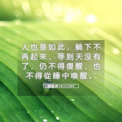 Picture 05 - 約 伯 記 14:12 CUVT - 人 也 是 如 此 ， 躺 下 不 再 起 來 - Bible Verse Picture