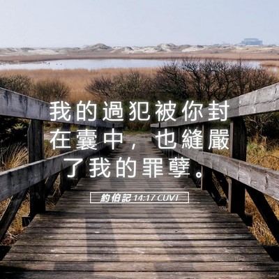 Picture 05 - 約 伯 記 14:17 CUVT - 我 的 過 犯 被 你 封 在 囊 中 ， 也 - Bible Verse Picture