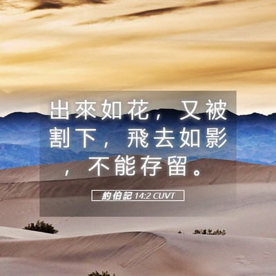 Picture 05 - 約 伯 記 14:2 CUVT - 出 來 如 花 ， 又 被 割 下 ， 飛 去 - Bible Verse Picture