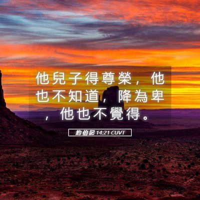 Picture 05 - 約 伯 記 14:21 CUVT - 他 兒 子 得 尊 榮 ， 他 也 不 知 道 - Bible Verse Picture