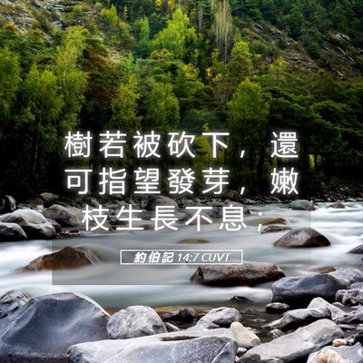 Picture 05 - 約 伯 記 14:7 CUVT - 樹 若 被 砍 下 ， 還 可 指 望 發 芽 - Bible Verse Picture