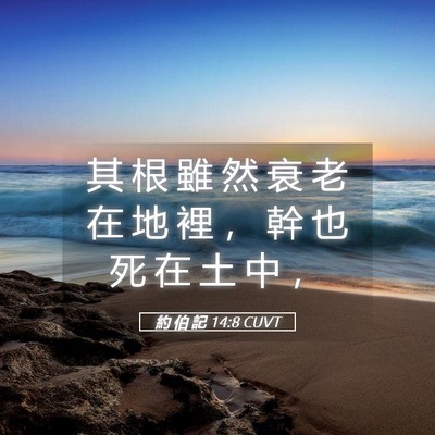 Picture 05 - 約 伯 記 14:8 CUVT - 其 根 雖 然 衰 老 在 地 裡 ， 幹 也 - Bible Verse Picture