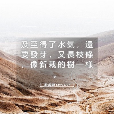 Picture 05 - 約 伯 記 14:9 CUVT - 及 至 得 了 水 氣 ， 還 要 發 芽 ， - Bible Verse Picture