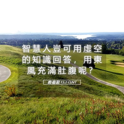 Picture 05 - 約 伯 記 15:2 CUVT - 智 慧 人 豈 可 用 虛 空 的 知 識 回 - Bible Verse Picture