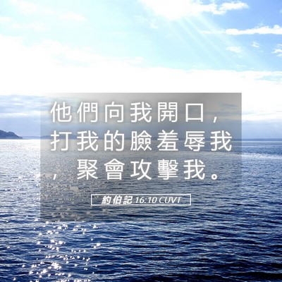 Picture 05 - 約 伯 記 16:10 CUVT - 他 們 向 我 開 口 ， 打 我 的 臉 羞 - Bible Verse Picture