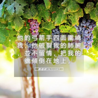 Picture 05 - 約 伯 記 16:13 CUVT - 他 的 弓 箭 手 四 面 圍 繞 我 ； 他 - Bible Verse Picture