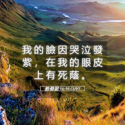 Picture 05 - 約 伯 記 16:16 CUVT - 我 的 臉 因 哭 泣 發 紫 ， 在 我 的 - Bible Verse Picture