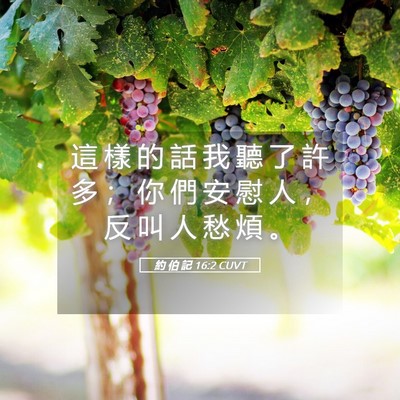 Picture 05 - 約 伯 記 16:2 CUVT - 這 樣 的 話 我 聽 了 許 多 ； 你 們 - Bible Verse Picture