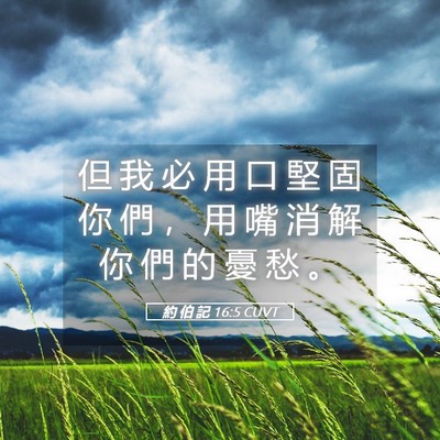 Picture 05 - 約 伯 記 16:5 CUVT - 但 我 必 用 口 堅 固 你 們 ， 用 嘴 - Bible Verse Picture