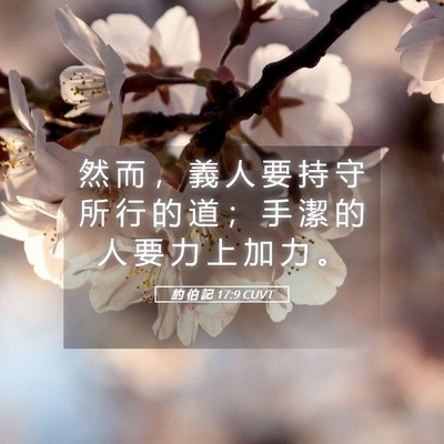 Picture 05 - 約 伯 記 17:9 CUVT - 然 而 ， 義 人 要 持 守 所 行 的 道 - Bible Verse Picture