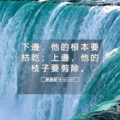 Picture 05 - 約 伯 記 18:16 CUVT - 下 邊 ， 他 的 根 本 要 枯 乾 ； 上 - Bible Verse Picture