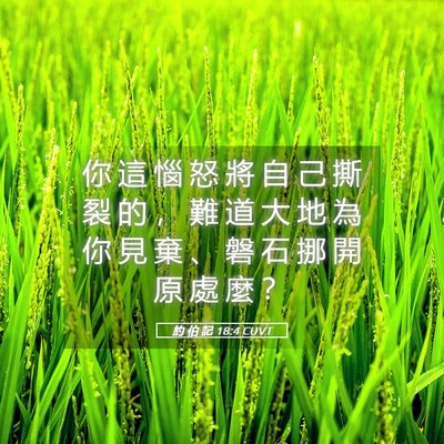 Picture 05 - 約 伯 記 18:4 CUVT - 你 這 惱 怒 將 自 己 撕 裂 的 ， 難 - Bible Verse Picture