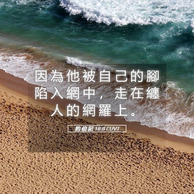 Picture 05 - 約 伯 記 18:8 CUVT - 因 為 他 被 自 己 的 腳 陷 入 網 中 - Bible Verse Picture
