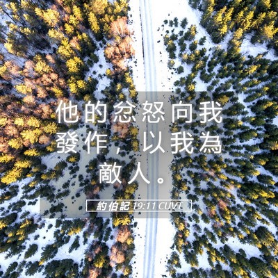 Picture 05 - 約 伯 記 19:11 CUVT - 他 的 忿 怒 向 我 發 作 ， 以 我 為 - Bible Verse Picture