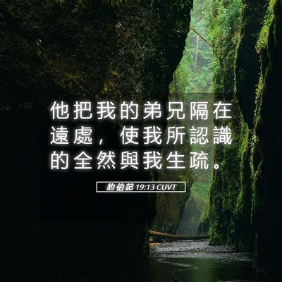 Picture 05 - 約 伯 記 19:13 CUVT - 他 把 我 的 弟 兄 隔 在 遠 處 ， 使 - Bible Verse Picture
