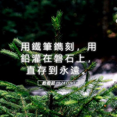 Picture 05 - 約 伯 記 19:24 CUVT - 用 鐵 筆 鐫 刻 ， 用 鉛 灌 在 磐 石 - Bible Verse Picture