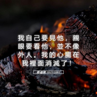 Picture 05 - 約 伯 記 19:27 CUVT - 我 自 己 要 見 他 ， 親 眼 要 看 他 - Bible Verse Picture