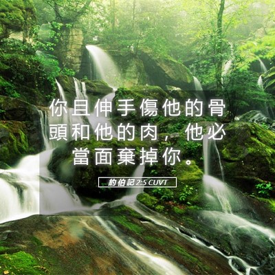 Picture 05 - 約 伯 記 2:5 CUVT - 你 且 伸 手 傷 他 的 骨 頭 和 他 的 - Bible Verse Picture