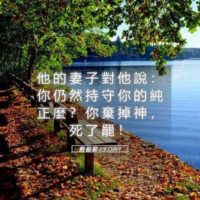 Picture 05 - 約 伯 記 2:9 CUVT - 他 的 妻 子 對 他 說 ： 你 仍 然 持 - Bible Verse Picture