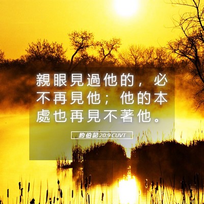 Picture 05 - 約 伯 記 20:9 CUVT - 親 眼 見 過 他 的 ， 必 不 再 見 他 - Bible Verse Picture