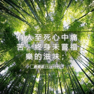 Picture 05 - 約 伯 記 21:25 CUVT - 有 人 至 死 心 中 痛 苦 ， 終 身 未 - Bible Verse Picture