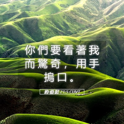 Picture 05 - 約 伯 記 21:5 CUVT - 你 們 要 看 著 我 而 驚 奇 ， 用 手 - Bible Verse Picture