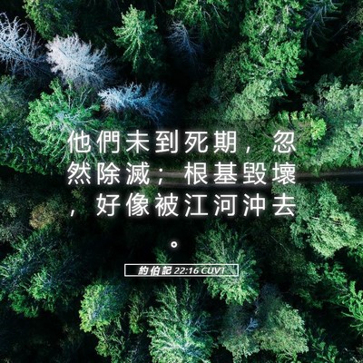 Picture 05 - 約 伯 記 22:16 CUVT - 他 們 未 到 死 期 ， 忽 然 除 滅 ； - Bible Verse Picture