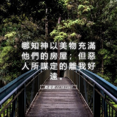 Picture 05 - 約 伯 記 22:18 CUVT - 哪 知 神 以 美 物 充 滿 他 們 的 房 - Bible Verse Picture