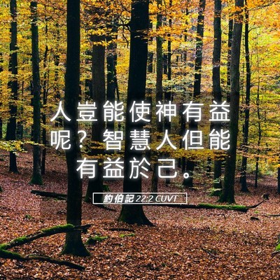 Picture 05 - 約 伯 記 22:2 CUVT - 人 豈 能 使 神 有 益 呢 ？ 智 慧 人 - Bible Verse Picture