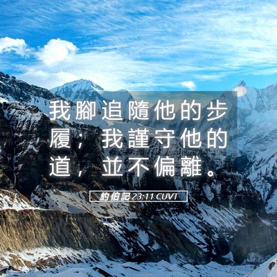 Picture 05 - 約 伯 記 23:11 CUVT - 我 腳 追 隨 他 的 步 履 ； 我 謹 守 - Bible Verse Picture