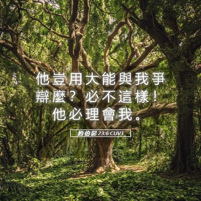Picture 05 - 約 伯 記 23:6 CUVT - 他 豈 用 大 能 與 我 爭 辯 麼 ？ 必 - Bible Verse Picture