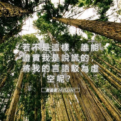 Picture 05 - 約 伯 記 24:25 CUVT - 若 不 是 這 樣 ， 誰 能 證 實 我 是 - Bible Verse Picture